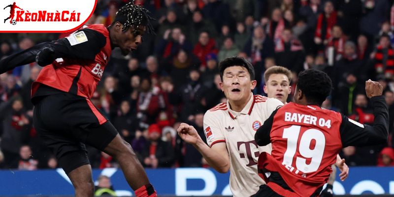 Bayer Leverkusen vs Bayern Munich không còn lạ nhau